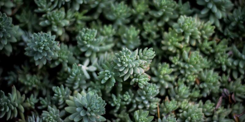 青岛模具产业破局：如何巧用本地化采购与全球整合，打造韧性供应链？