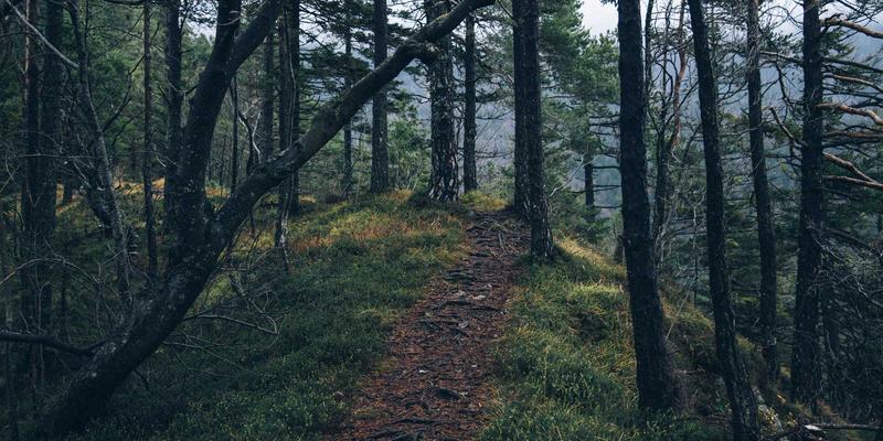 青岛模具制造升级指南：进口与国产模具钢选型策略及成本效益深度解析