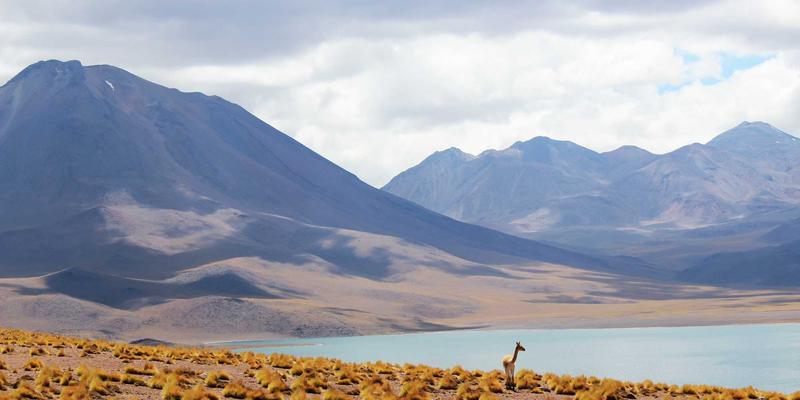 青岛模具智能制造新篇章:MES与物联网如何打造“透明化”生产车间,赋能塑料模具加工